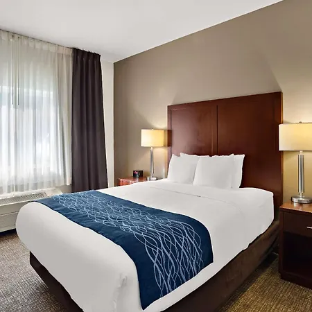 Comfort Inn Lacey - Olympia-2