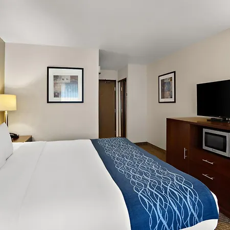 Comfort Inn Lacey - Olympia-3